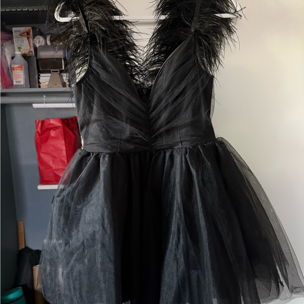 Elegant Black Feathered Dress